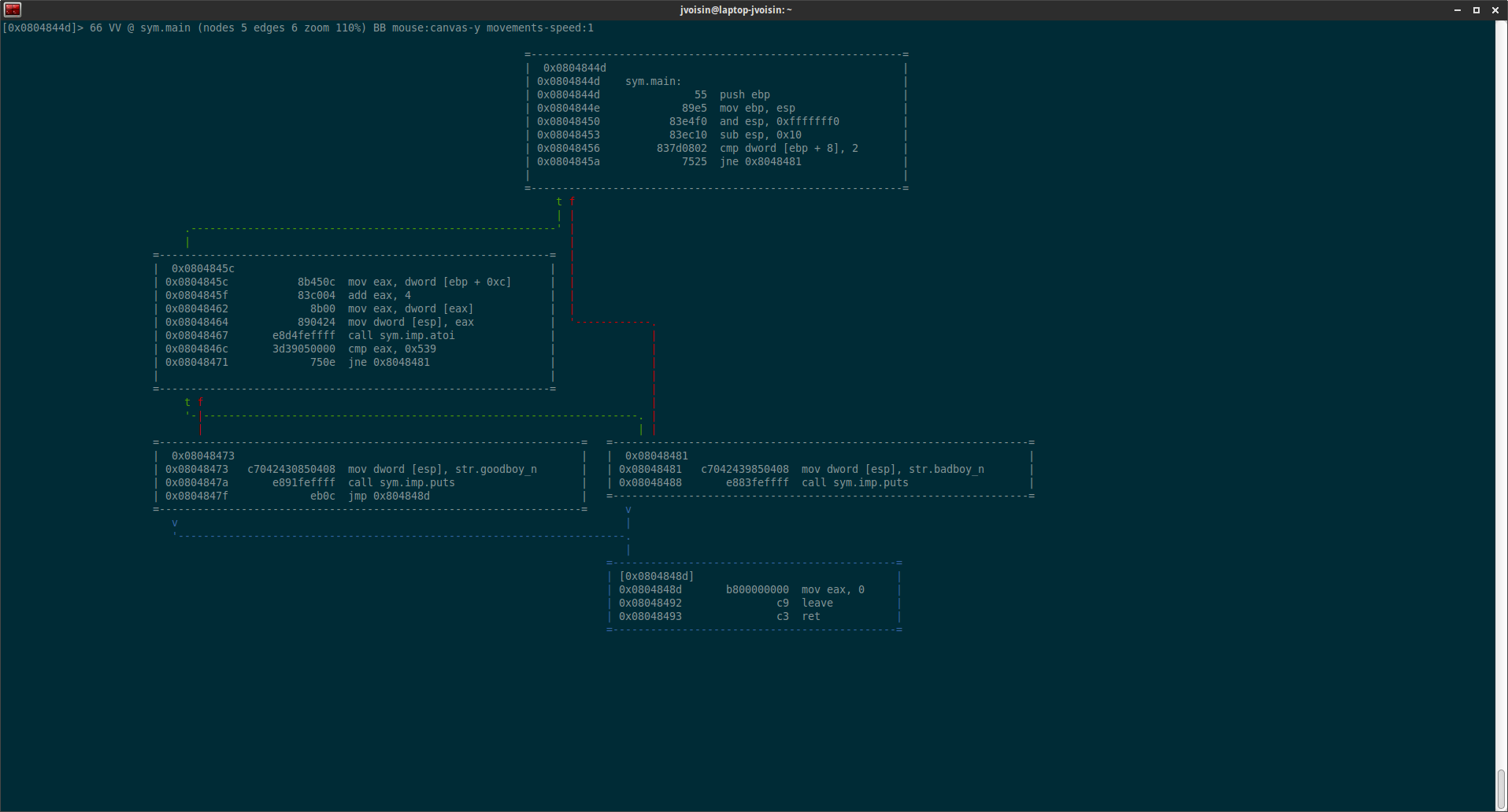 Disasm in graph