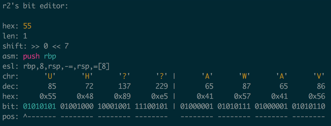 radare2 bit editor